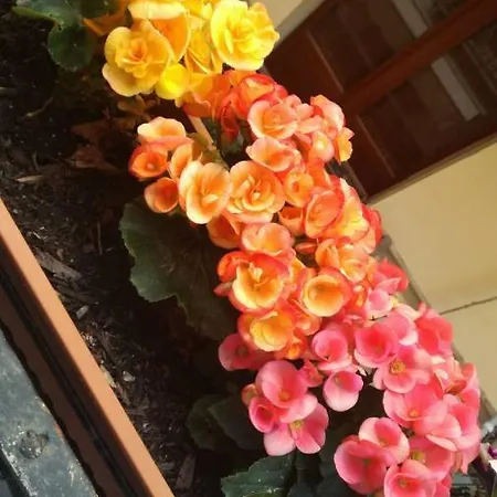 Casa Diego *