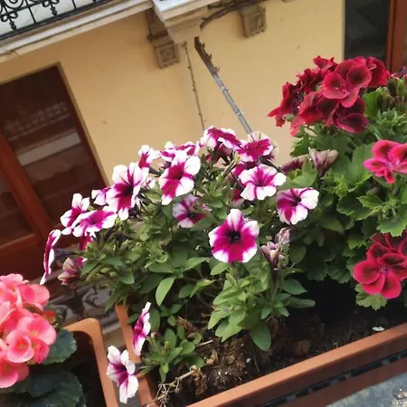 Casa Diego Appartement *